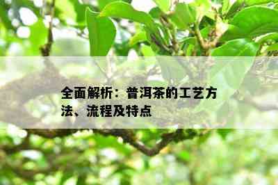 全面解析：普洱茶的工艺方法、流程及特点