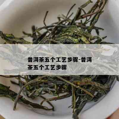 普洱茶五个工艺步骤-普洱茶五个工艺步骤