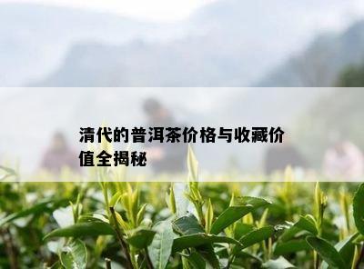 清代的普洱茶价格与收藏价值全揭秘