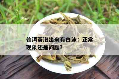 普洱茶泡出来有白沫：正常现象还是问题？