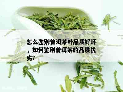 怎么鉴别普洱茶叶品质好坏，如何鉴别普洱茶的品质优劣？