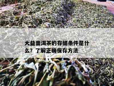 大益普洱茶的存储条件是什么？了解正确保存方法