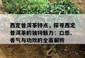 西定普洱茶特点，探寻西定普洱茶的独特魅力：口感、香气与功效的全面解析