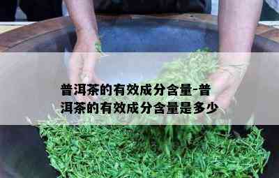 普洱茶的有效成分含量-普洱茶的有效成分含量是多少