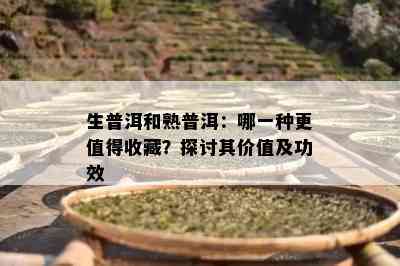 生普洱和熟普洱：哪一种更值得收藏？探讨其价值及功效