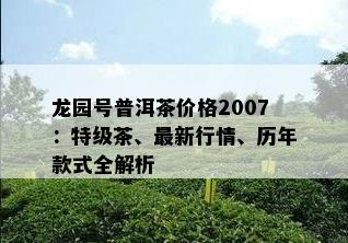 龙园号普洱茶价格2007：特级茶、最新行情、历年款式全解析