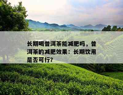 长期喝普洱茶能减肥吗，普洱茶的减肥效果：长期饮用是否可行？