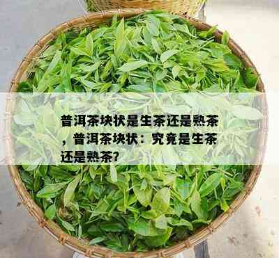 普洱茶块状是生茶还是熟茶，普洱茶块状：究竟是生茶还是熟茶？