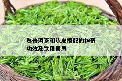 熟普洱茶和陈皮搭配的神奇功效及饮用禁忌