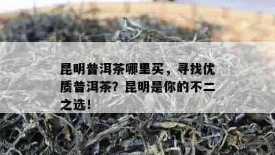 昆明普洱茶哪里买，寻找优质普洱茶？昆明是你的不二之选！