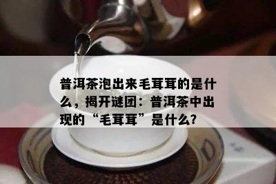 普洱茶泡出来毛茸茸的是什么，揭开谜团：普洱茶中出现的“毛茸茸”是什么？