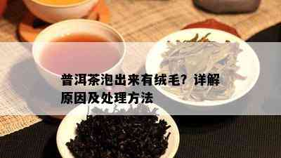 普洱茶泡出来有绒毛？详解原因及处理方法