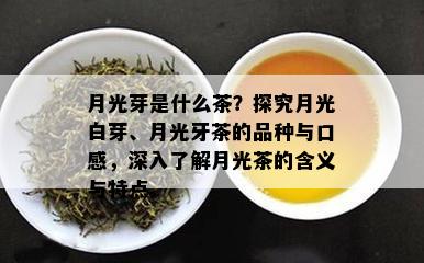 月光芽是什么茶？探究月光白芽、月光牙茶的品种与口感，深入了解月光茶的含义与特点。