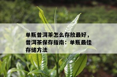 单瓶普洱茶怎么存放更好，普洱茶保存指南：单瓶更佳存储方法