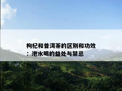 枸杞和普洱茶的区别和功效：泡水喝的益处与禁忌