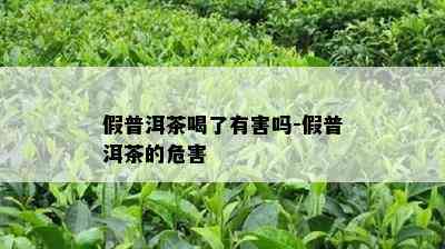 假普洱茶喝了有害吗-假普洱茶的危害