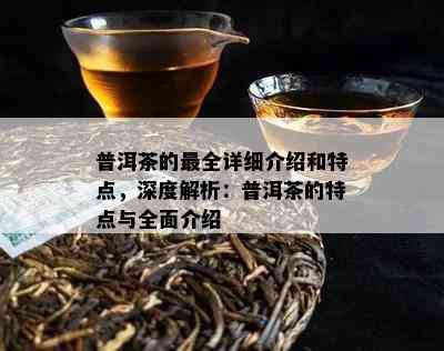 普洱茶的最全详细介绍和特点，深度解析：普洱茶的特点与全面介绍