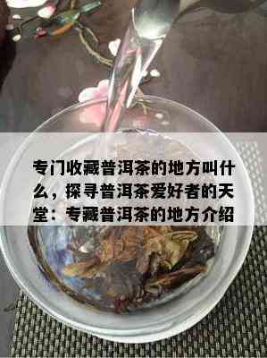 专门收藏普洱茶的地方叫什么，探寻普洱茶爱好者的天堂：专藏普洱茶的地方介绍