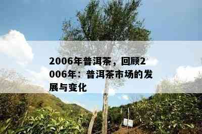 2006年普洱茶，回顾2006年：普洱茶市场的发展与变化