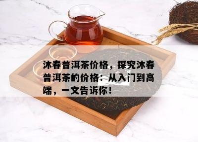 沐春普洱茶价格，探究沐春普洱茶的价格：从入门到高端，一文告诉你！