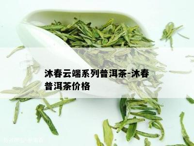 沐春云端系列普洱茶-沐春普洱茶价格