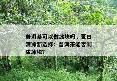 普洱茶可以做冰块吗，夏日清凉新选择：普洱茶能否制成冰块？