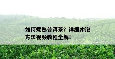 如何煮熟普洱茶？详细冲泡方法视频教程全解！