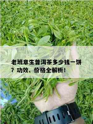 老班章生普洱茶多少钱一饼？功效、价格全解析！