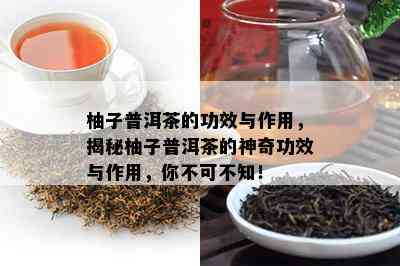 柚子普洱茶的功效与作用，揭秘柚子普洱茶的神奇功效与作用，你不可不知！