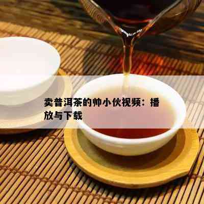 卖普洱茶的帅小伙视频：播放与下载