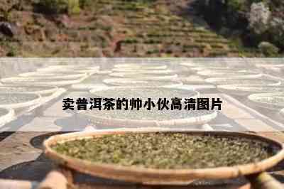 卖普洱茶的帅小伙高清图片