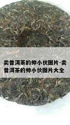 卖普洱茶的帅小伙图片-卖普洱茶的帅小伙图片大全