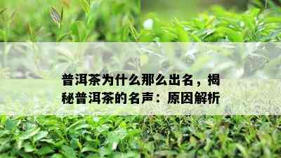 普洱茶为什么那么出名，揭秘普洱茶的名声：原因解析