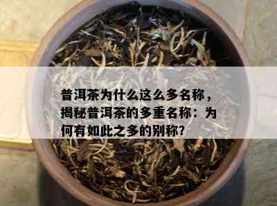 普洱茶为什么这么多名称，揭秘普洱茶的多重名称：为何有如此之多的别称？