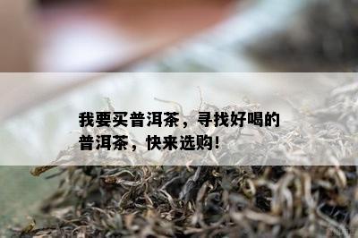 我要买普洱茶，寻找好喝的普洱茶，快来选购！