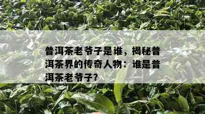 普洱茶老爷子是谁，揭秘普洱茶界的传奇人物：谁是普洱茶老爷子？