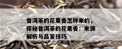 普洱茶的花果香怎样来的，探秘普洱茶的花果香：来源解析与品鉴技巧