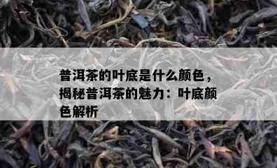 普洱茶的叶底是什么颜色，揭秘普洱茶的魅力：叶底颜色解析