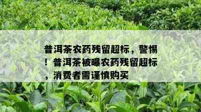 普洱茶农残留超标，警惕！普洱茶被曝农残留超标，消费者需谨慎购买