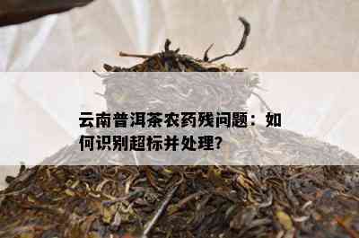 云南普洱茶农残问题：如何识别超标并处理？