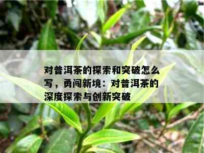 对普洱茶的探索和突破怎么写，勇闯新境：对普洱茶的深度探索与创新突破