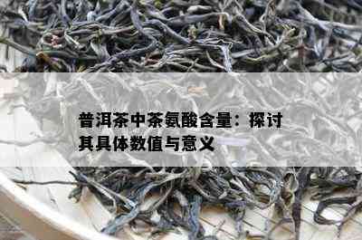 普洱茶中茶氨酸含量：探讨其具体数值与意义