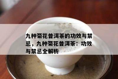 九种菊花普洱茶的功效与禁忌，九种菊花普洱茶：功效与禁忌全解析