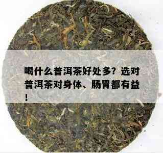 喝什么普洱茶好处多？选对普洱茶对身体、肠胃都有益！