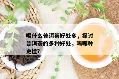 喝什么普洱茶好处多，探讨普洱茶的多种好处，喝哪种更佳？