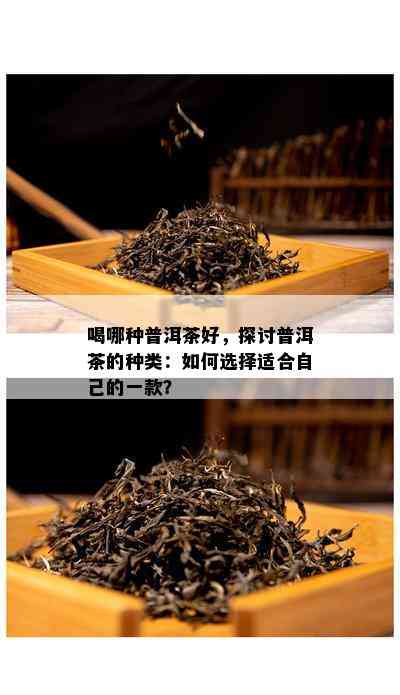 喝哪种普洱茶好，探讨普洱茶的种类：如何选择适合自己的一款？