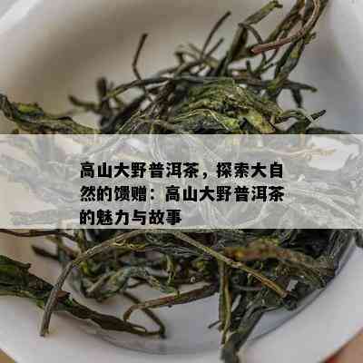 高山大野普洱茶，探索大自然的馈赠：高山大野普洱茶的魅力与故事