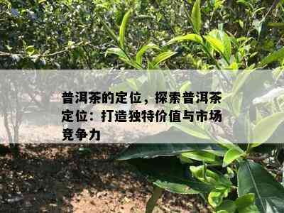 普洱茶的定位，探索普洱茶定位：打造独特价值与市场竞争力