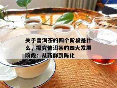 关于普洱茶的四个阶段是什么，探究普洱茶的四大发展阶段：从新鲜到陈化