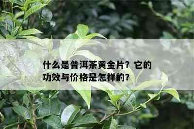 什么是普洱茶黄金片？它的功效与价格是怎样的？